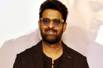 Prabhas Vintage King latest, Prabhas, interesting title for prabhas next, Zarina wahab