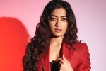 Kiran, Kiran, rashmika mandanna clears air, Animal film