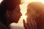 Dunki release date, Dunki business, srk s dunki to be high on violence, Rajkumar hirani