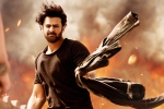 Saaho collections, Saaho collections, saaho ten days telugu states collections, Neil nitin mukesh