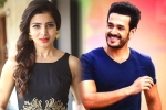 Akhil Akkineni, Samantha upcoming release, samantha and akhil to clash in august, Bollywood films Akhil Akkineni, Samantha upcoming release, samantha and akhil to clash in august, Bollywood films