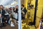 Singapore Airlines turbulence horror injured, Singapore Airlines turbulence, one dead and 30 injured in singapore airlines turbulence horror, Varna