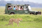 South African Safari Trip latest, South African Safari Trip breaking, how to plan your south african safari trip, Spot