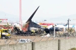 South Korea Plane Crash reason, South Korea Plane Crash new updates, pilot made mayday call and mentioned bird strike in south korea plane crash, Kidding