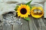 Sunflower seeds, Sunflower seeds snack, sunflower seeds and their nutritional benefits, Healthy breakfast