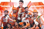 Sunrisers Hyderabad scores, Sunrisers Hyderabad Playoffs, sunrisers hyderabad qualified for ipl playoffs, Royal challengers bengaluru