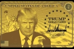 Trump's Gold Card, Trump's Gold Card, all about trump s gold platinum corporate gold cards for h 1b workers, Trump s gold card
