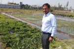 uttar pradesh, uttar pradesh, this u s return mba graduate is transforming a village barren land into an organic farming facility, Organic farming