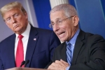 Anthony Fauci, Donald Trump, us could start reopening in may anthony fauci, Andrew cuomo Anthony Fauci, Donald Trump, us could start reopening in may anthony fauci, Andrew cuomo