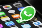 WhatsApp, WhatsApp Subscription Plan, whatsapp reportedly working on subscription plan with exclusive features, More WhatsApp, WhatsApp Subscription Plan, whatsapp reportedly working on subscription plan with exclusive features, More