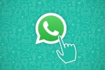 WhatsApp chats, WhatsApp chat, whatsapp for beta gets new default message timer, Privacy settings