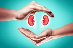 World Kidney Day 2025 care, World Kidney Day 2025 health, world kidney day 2025 theme and health tips, Import