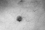 Mars research, spider on Mars, yards long spider on mars nasa, Nasa scientists