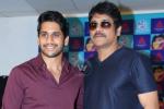 Akkineni family, Akkineni new movies, akkineni fans to have a double treat, Saahasam swaasaga saagipo