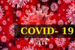 COVID- 19, World Health Organization, who renames the deadly coronavirus as covid 19, Snake