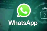 iOS Testing Multi-Account Support for WhatsApp news, iOS Testing Multi-Account Support, whatsapp for ios testing multi account support, Messi