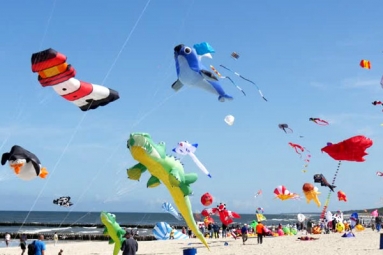 BAYVP Kite Flying - Uttarayan 2017