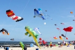 California Events, BAYVP Kite Flying - Uttarayan 2017 in Independence High School Soccer Field, bayvp kite flying uttarayan 2017, Ji min sha