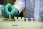 mutants, covid-19, not enough mutants in coronavirus in india to inflict concern, Global development