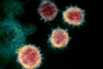 Mu variant in Columbia, Mu variant news, one more new variant of coronavirus traced in columbia, South america
