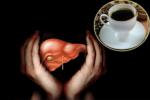 Hepatic Cancer treatment, Hepatic Cancer treatment, coffee consumption helps in protecting boozers livers, Coffee benefits