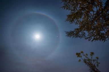 Bay Area citizens surprised to see a perfect halo around the moon
