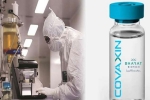 Covaxin India, Coronavirus vaccine, covaxin india s 1st covid 19 vaccine to get approval for human trials, Cgi