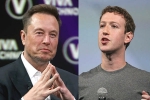 Mark Zuckerberg, Elon Musk Vs Mark Zuckerberg news, elon musk vs mark zuckerberg rivalry, Mark zuckerberg