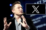 X subscription breaking news, X subscription breaking news, elon musk announces that x would be paid for everyone, Elon musk