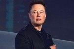 Elon Musk breaking news, Twitter, elon musk talks about cage fight again, Mark zuckerberg