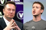 Elon Musk and Mark Zuckerberg war, Elon Musk, elon vs zuckerberg mma fight ahead, Mark zuckerberg