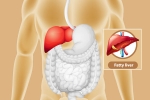 Fatty Liver problems, Fatty Liver news, dangers of fatty liver, Health