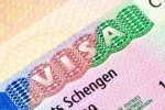 Schengen visa for Indians new visa, Schengen visa for Indians new visa, indians can now get five year multi entry schengen visa, Indians