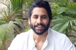 Naga Chaitanya about life, Naga Chaitanya films, naga chaitanya makes interesting comments, Sobhita dhulipala