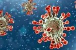 China Covid Row cases, Covid-19, new china coronavirus variant traced in india, Omicron