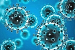 Coronavirus India, Tollywood, omicron fear for tollywood, Coronavirus india