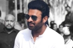 Prabhas upcoming projects, Prabhas next lineup, prabhas in talks for one more big budget project, Pathan