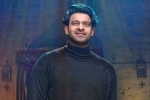 Prabhas recent pictures, Prabhas latest updates, prabhas struggling to cut down his weight, Dairy