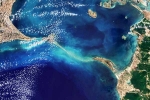 Ram Setu pictures breaking, Ram Setu pictures breaking, ram setu s pictures from the space, Ram setu